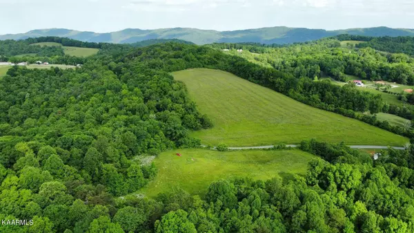 Blaine, TN 37709,22.5 Acres Smith Hollow Road