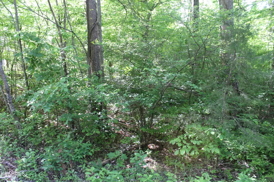 Lot 13 Grace Ridge Rd, Maynardville, TN 37807