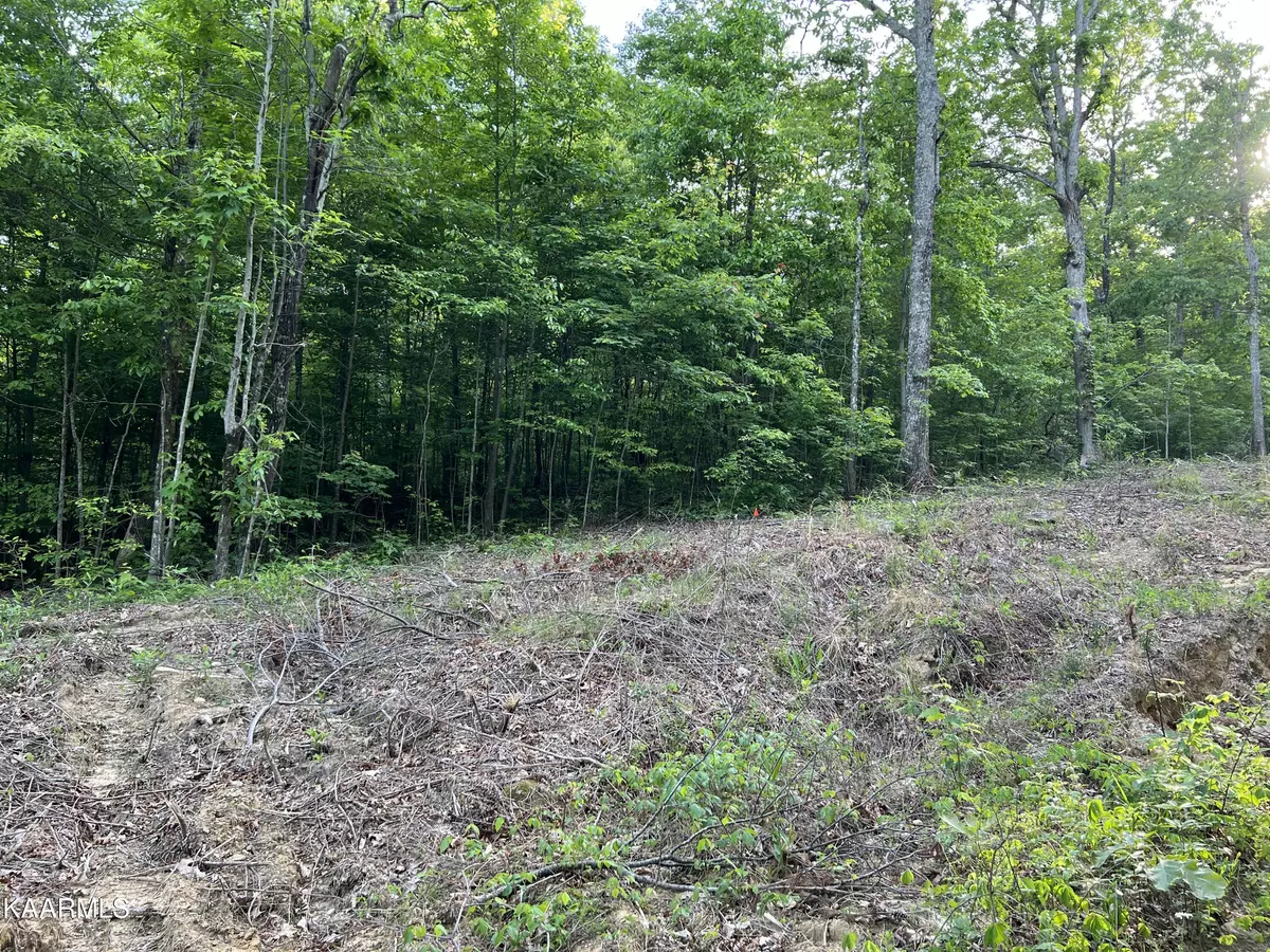 Tallassee, TN 37878,Lot 18 Bobcat Trail