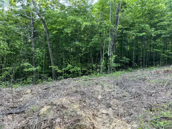 Lot 17 Bobcat Trail, Tallassee, TN 37878