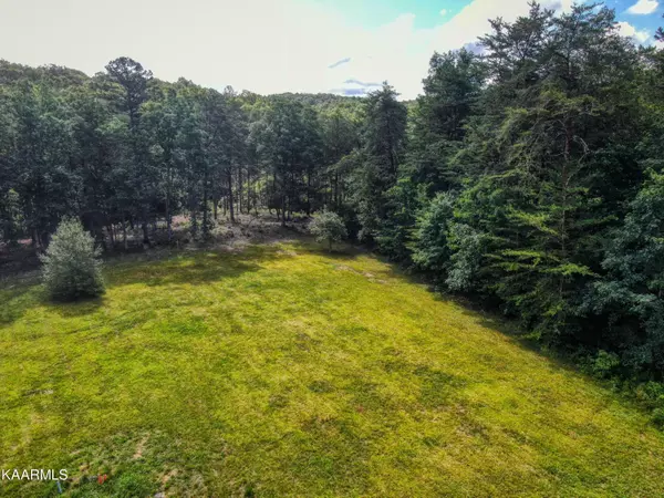 Jamestown, TN 38556,Lot 86 Cliffmont Rd