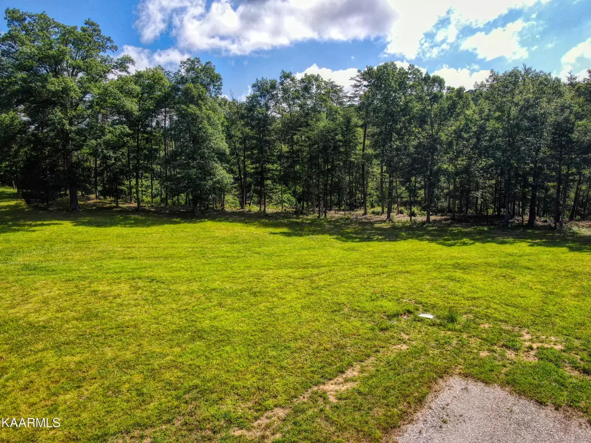 Jamestown, TN 38556,Lot 85 Diamond Pointe Rd