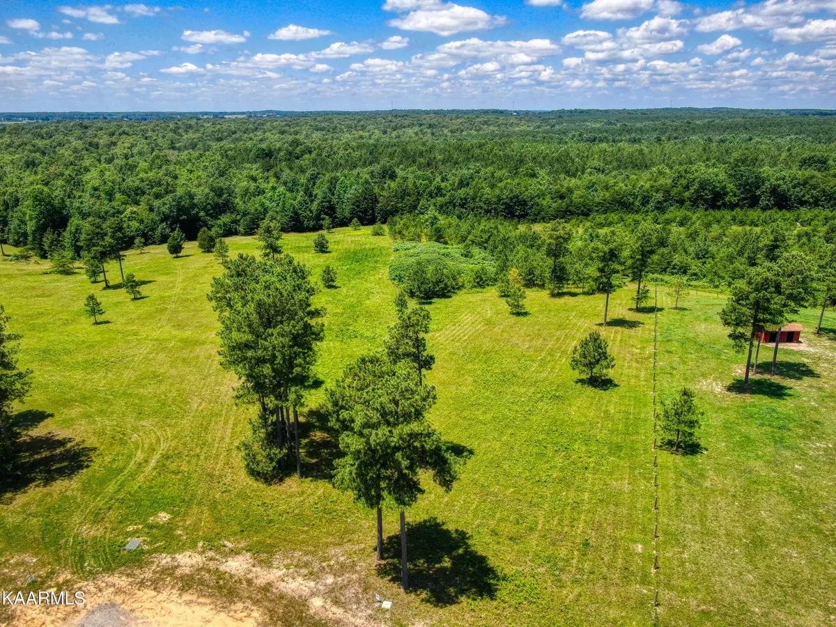 Jamestown, TN 38556,Lot 19 Maddie Way