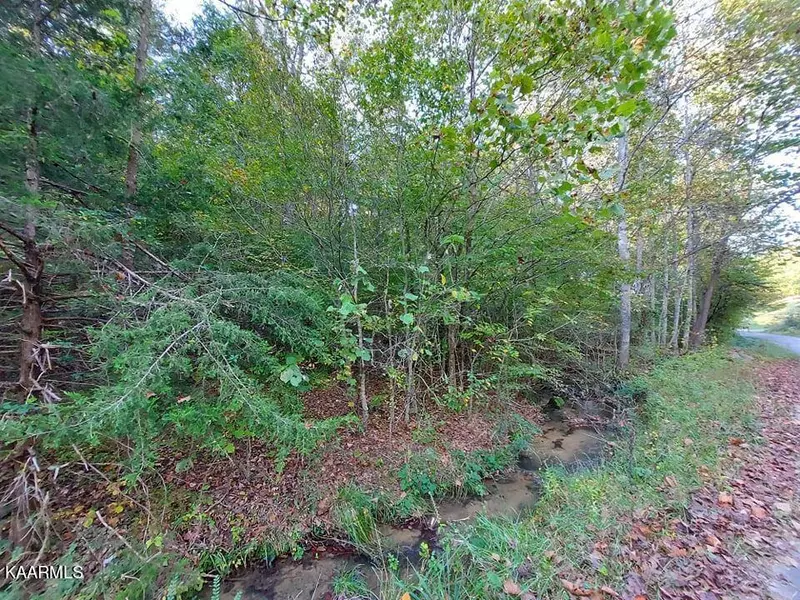 22.31 Acres Gunter Corner Rd, Parrottsville, TN 37843