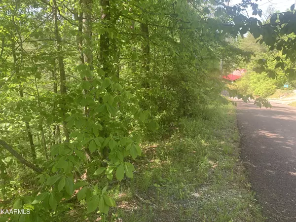 Sevierville, TN 37862,Lot 14 Clearview Rd