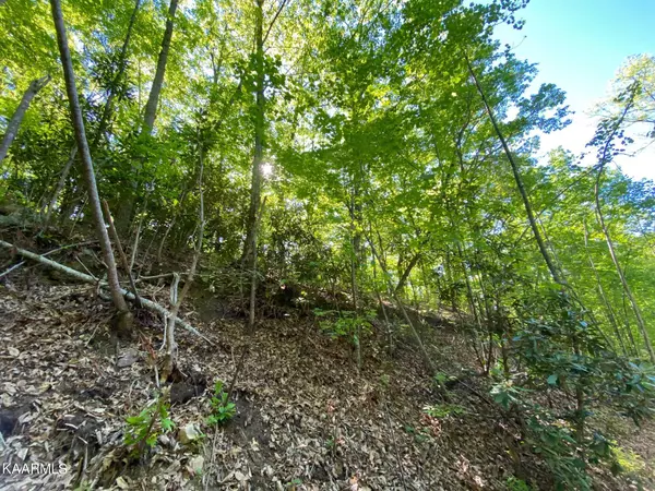 Sevierville, TN 37876,Lot 41 Trailer Park LN