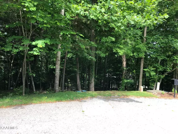 Jacksboro, TN 37757,Lot 47 Stoney Rock LN