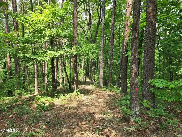 Maryville, TN 37803,Lot 21A Allegheny Cove Way