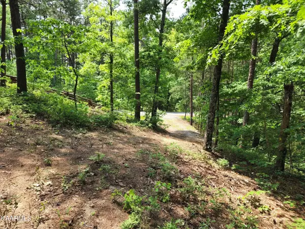 Maryville, TN 37803,Lot 21A Allegheny Cove Way