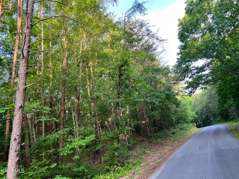 Co Rd 875, Etowah, TN 37331