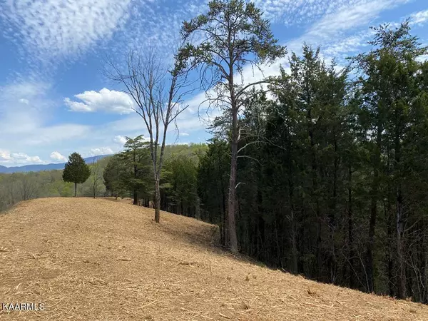 Sevierville, TN 37876,Lot 17 Harbor Point DR