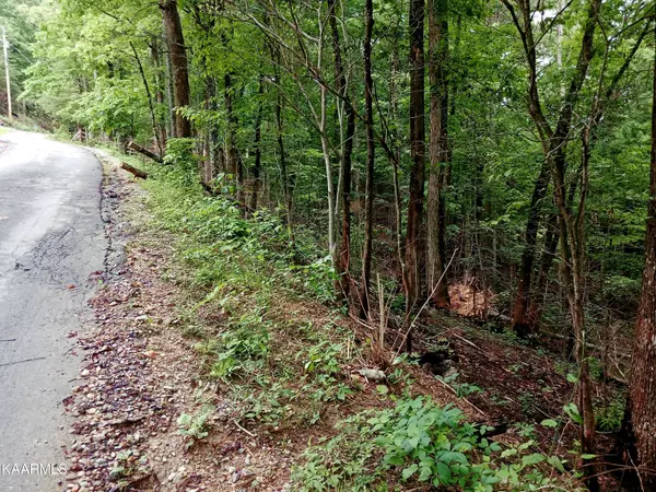 Sevierville, TN 37862,Lot 30, 31 Whipoorwill Hill WAY