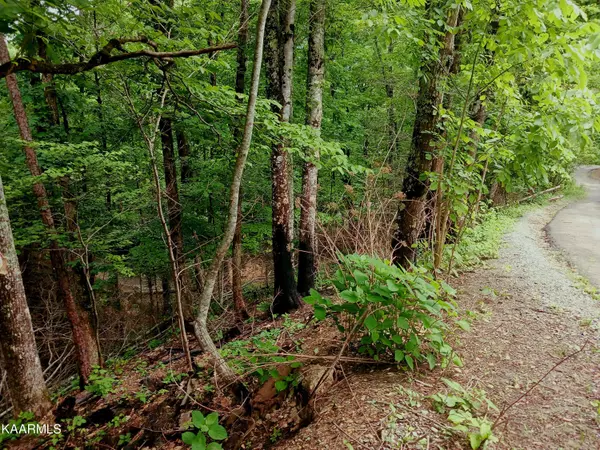 Sevierville, TN 37862,Lot 30, 31 Whipoorwill Hill WAY