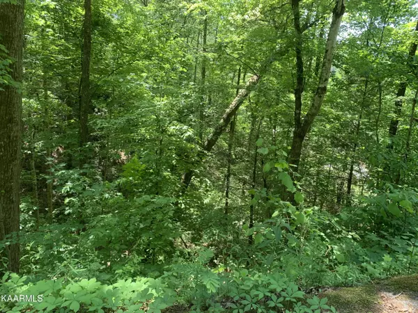 Sevierville, TN 37876,Lot 80 Honeysuckle LN