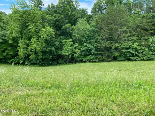 New Tazewell, TN 37825,Lot 257 Marble Point Way