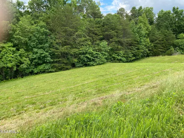 New Tazewell, TN 37825,Lot 257 Marble Point Way