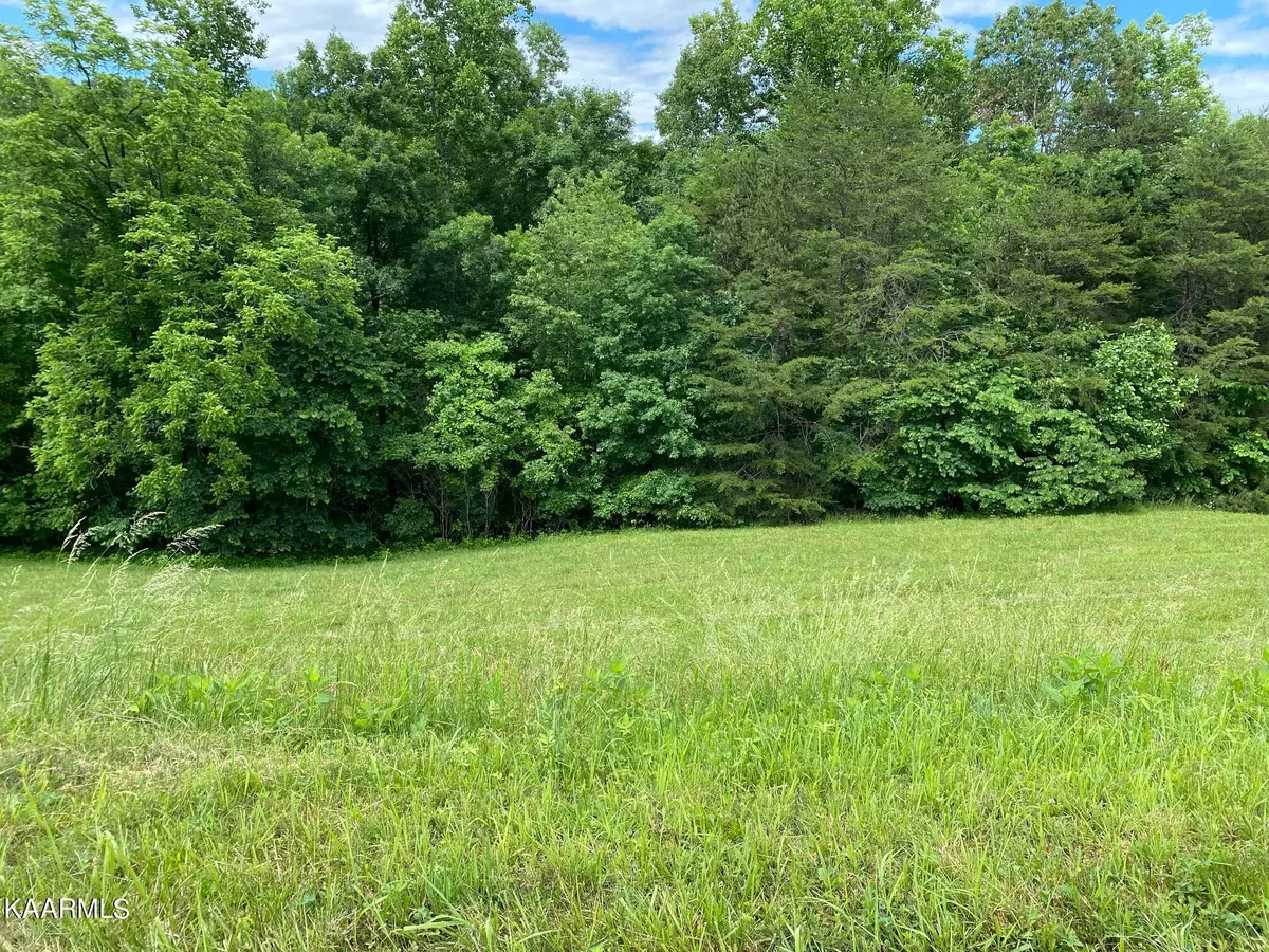 New Tazewell, TN 37825,Lot 257 Marble Point Way