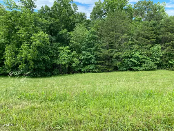 Lot 257 Marble Point Way, New Tazewell, TN 37825