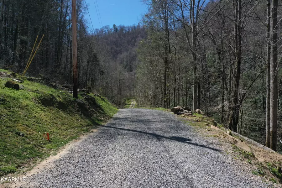 00 Middle Fork WAY, Del Rio, TN 37727