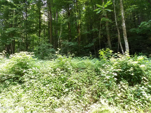 Del Rio, TN 37727,00 Middle Fork WAY