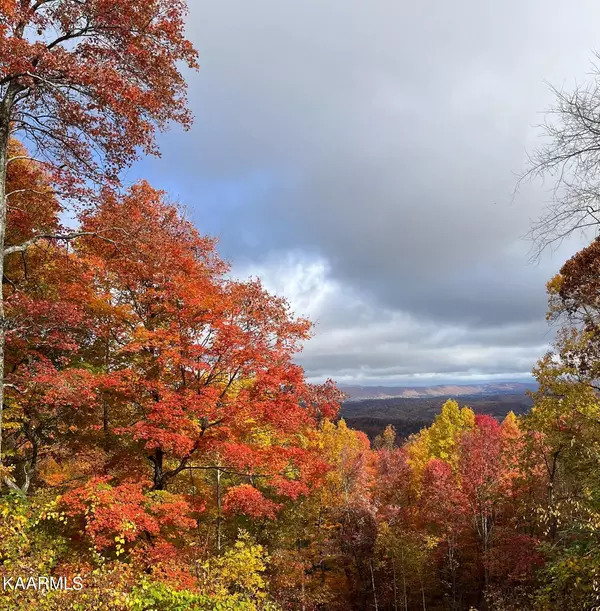 Rocky Top, TN 37769,243 Upper Vowell Mt LN