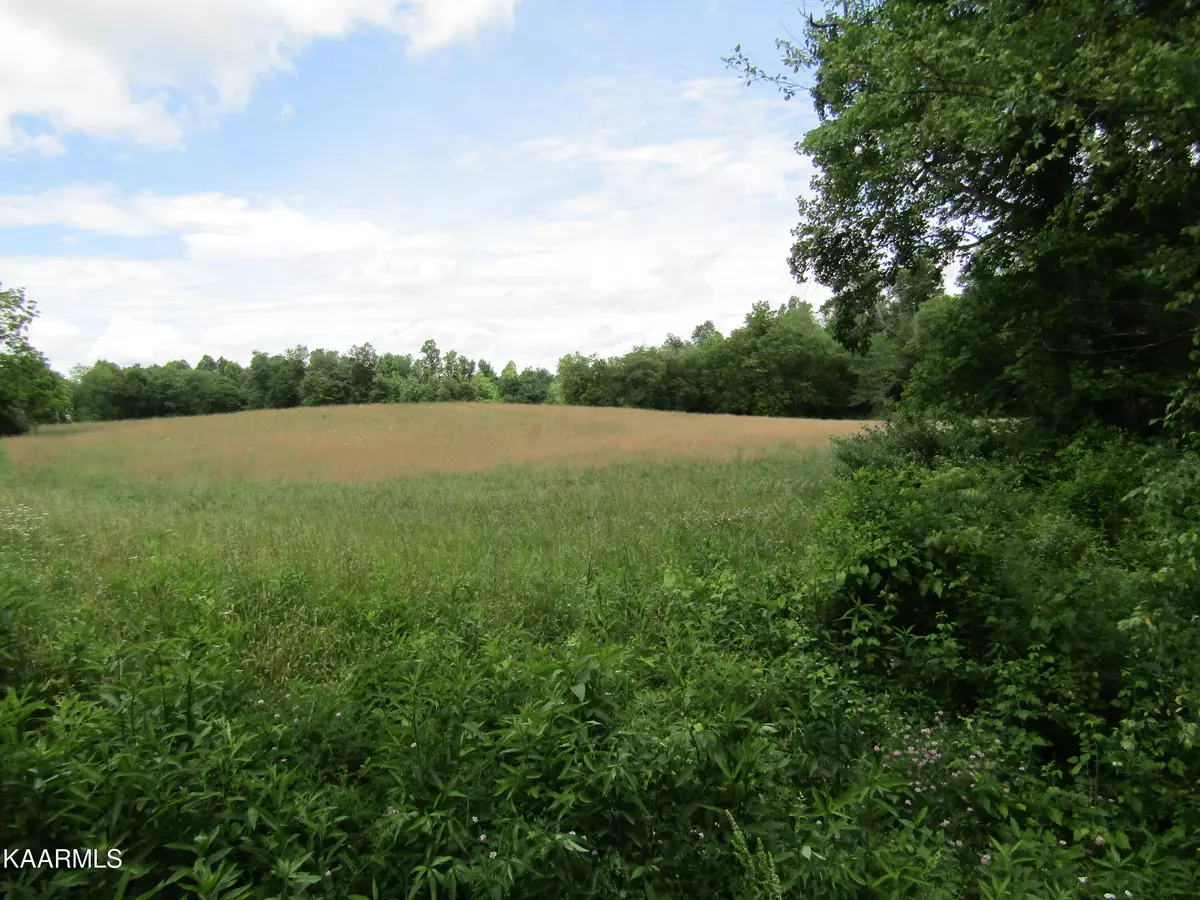 Robbins, TN 37852,Lot 1 Nydeck Road