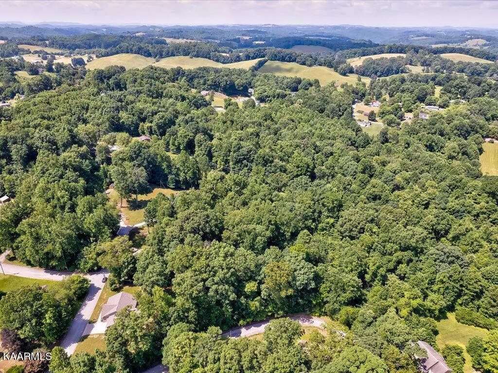 Tazewell, TN 37879,Lot 117 Beeler DR