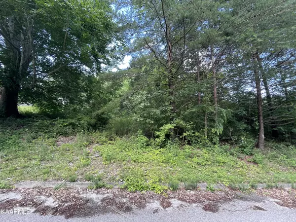 Jacksboro, TN 37757,lot 13 Alpine DR