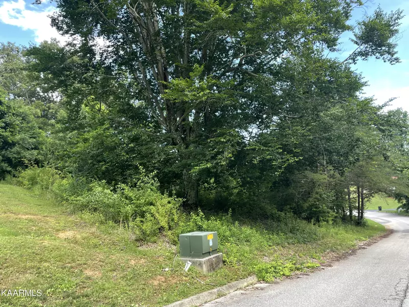 lot 13 Alpine DR, Jacksboro, TN 37757