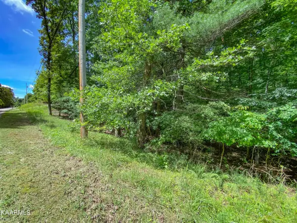 Rockwood, TN 37854,Lot 99 Pin Oak Rd