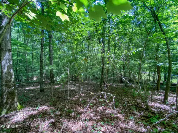 Rockwood, TN 37854,Lot 99 Pin Oak Rd