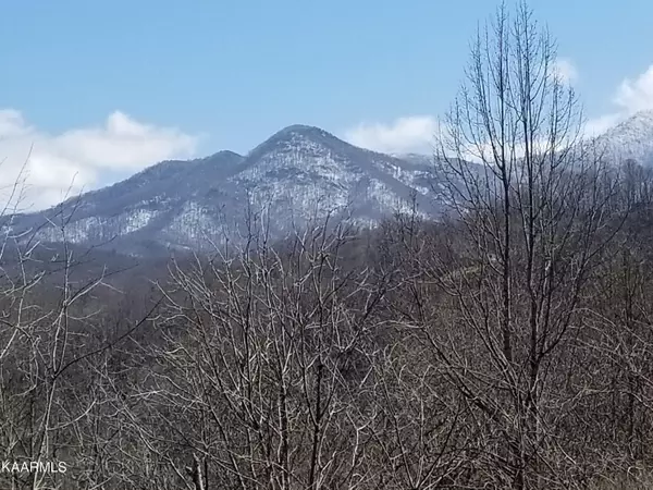 Ridge Top LOOP, Gatlinburg, TN 37738