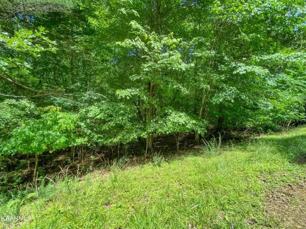 Lot 100 Pin Oak, Rockwood, TN 37854