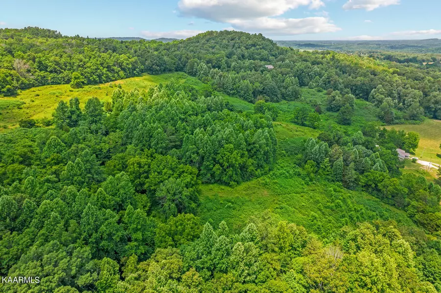 00 Peak Hollow Lane, Monroe, TN 38573