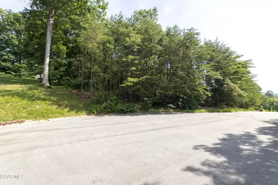 Lot #35 Pioneer DR, Seymour, TN 37865