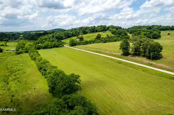 Rockford, TN 37853,Lot 4 Roddy Branch Rd