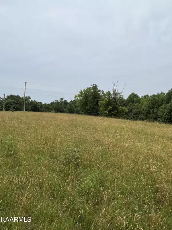 Chestnut Mound, TN 38552,0 Chaffin Ln