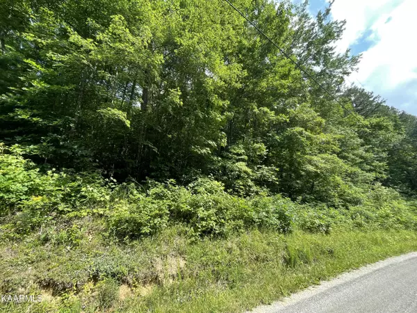 Oakdale, TN 37829,Lot #2 Rankin Chapel Rd