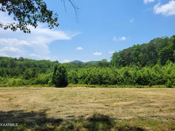 Tellico Plains, TN 37385,170 Massingale Rd