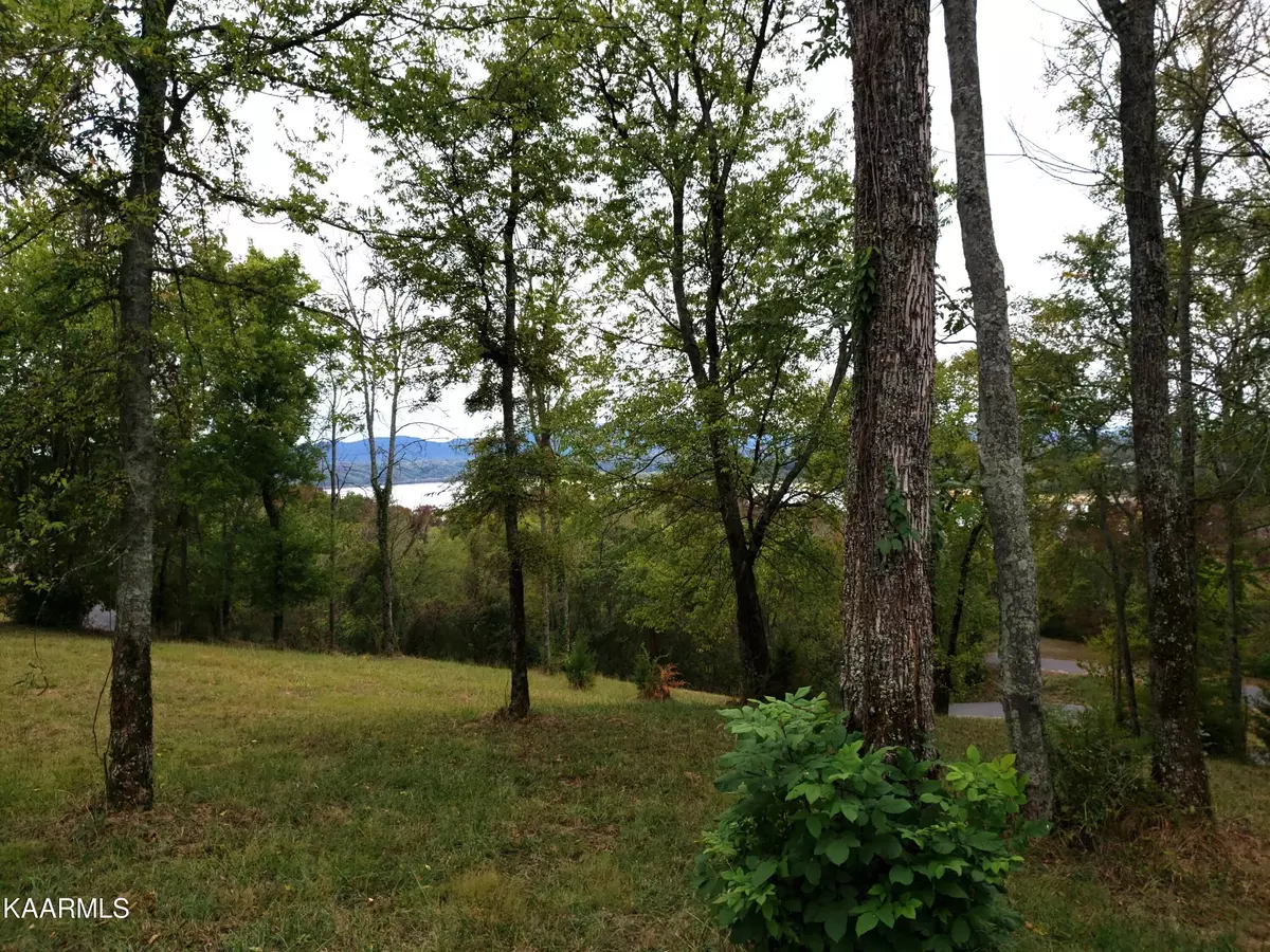 Newport, TN 37821,Ivy Way (Lot 24)