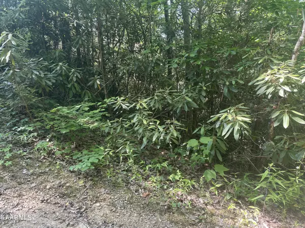 Sevierville, TN 37876,Lot 67 Sycamore St