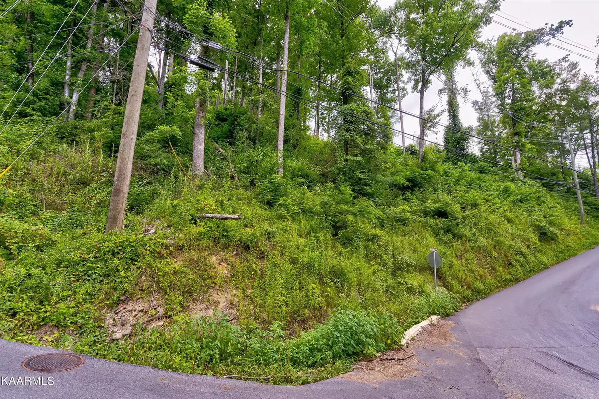 Gatlinburg, TN 37738,Lot 28 Silverbell Heights LN