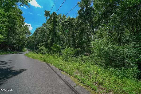 Sevierville, TN 37876,Lot 630 Cherry View LN