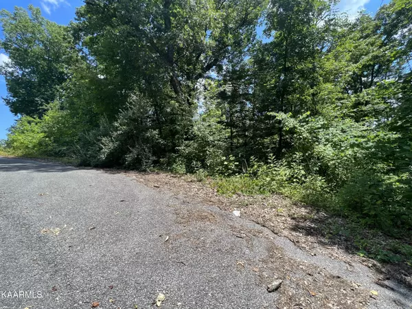 Lafollette, TN 37766,lot 37 Pinnacle LN