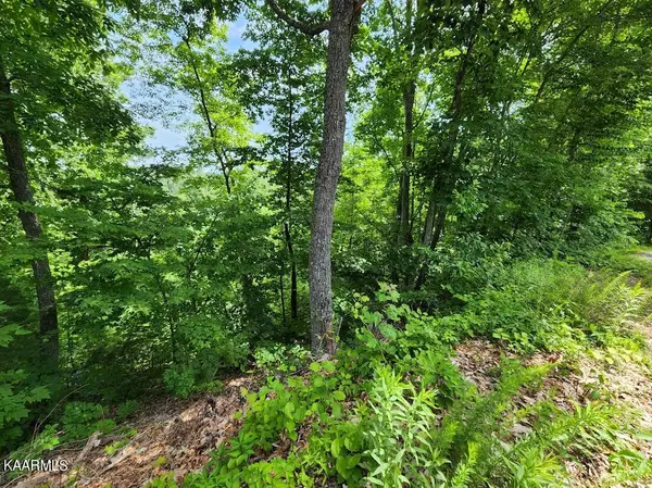 Sevierville, TN 37876,High View CT