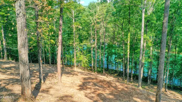 Lafollette, TN 37766,Lot 6 Shanghai Landing LN