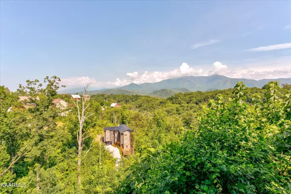 Gatlinburg, TN 37738,1135 Longview CT