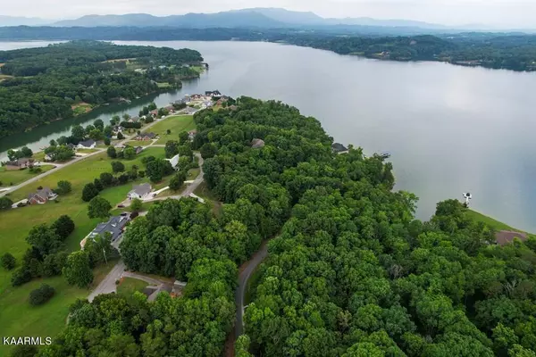 Baneberry, TN 37890,Lot 20 Bonnevista DR