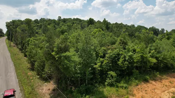 Decatur, TN 37322,Lot 51 Hiwassee CIR