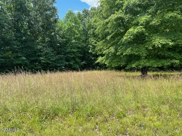 Lot 16 Woodland Trail, Sunbright, TN 37872